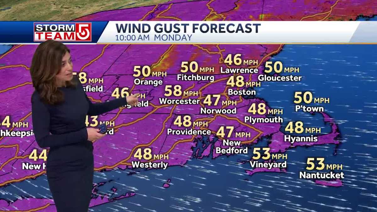 Video: Strong winds, bitter wind chill and power outages