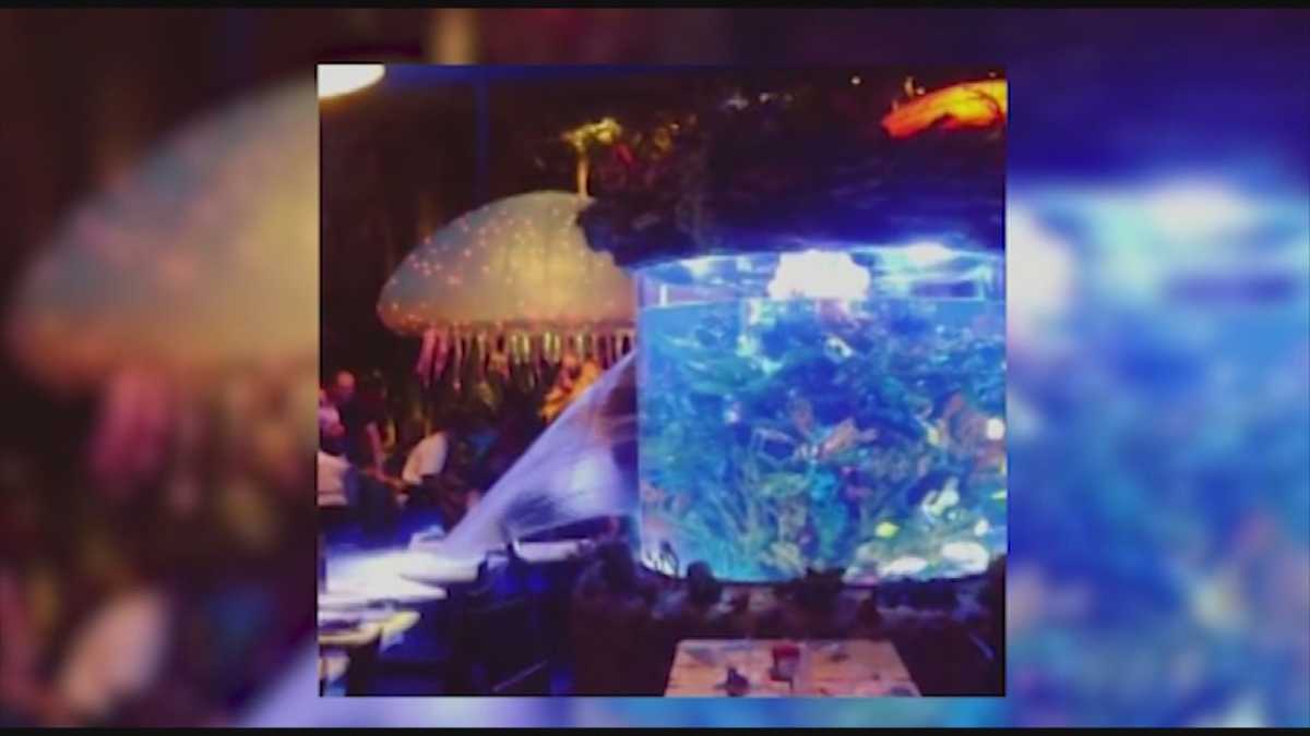 Fish tank inside Downtown Disney restaurant bursts during dinner