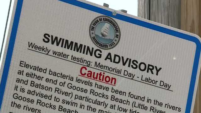 How safe is it to swim at Maine beaches? - Vimarsana News