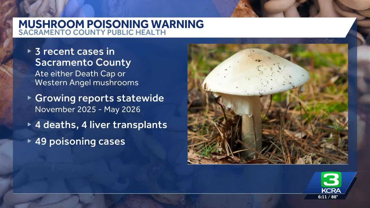 Sacramento County health officials issue warning after wild mushroom poisonings
