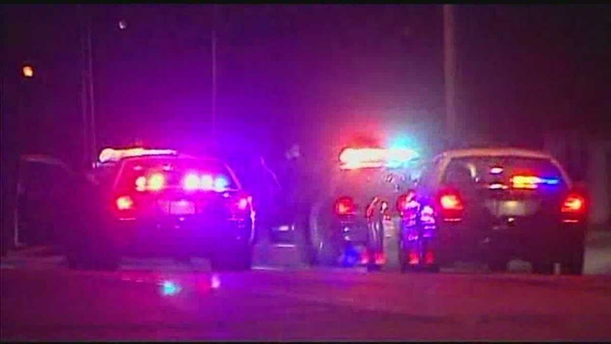 Woman hit, killed while chasing after dog