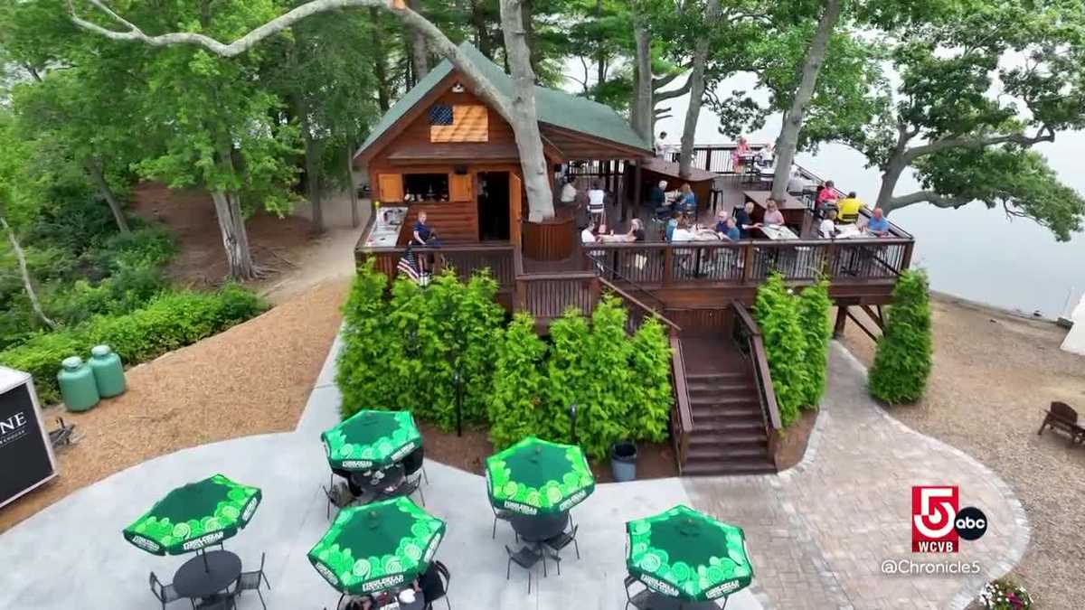 a-restaurant-in-a-treehouse-hidden-gem-on-boston-s-south-shore-brings