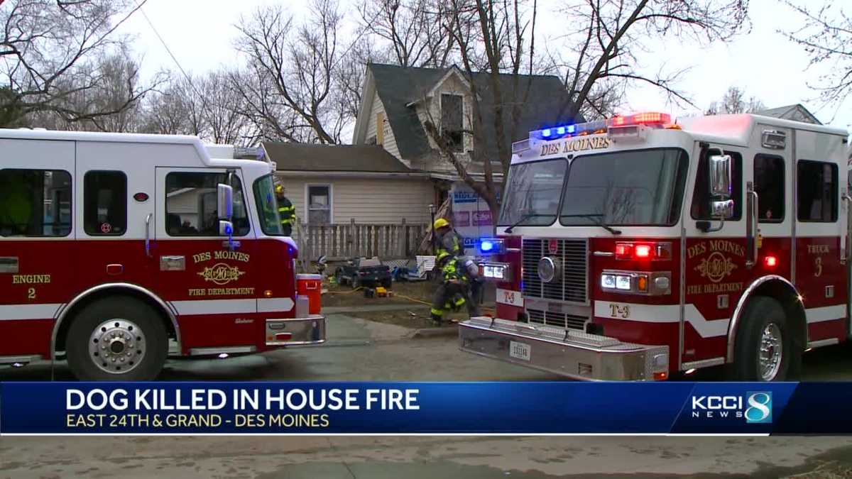 Dog dies in Des Moines house fire - KCCI