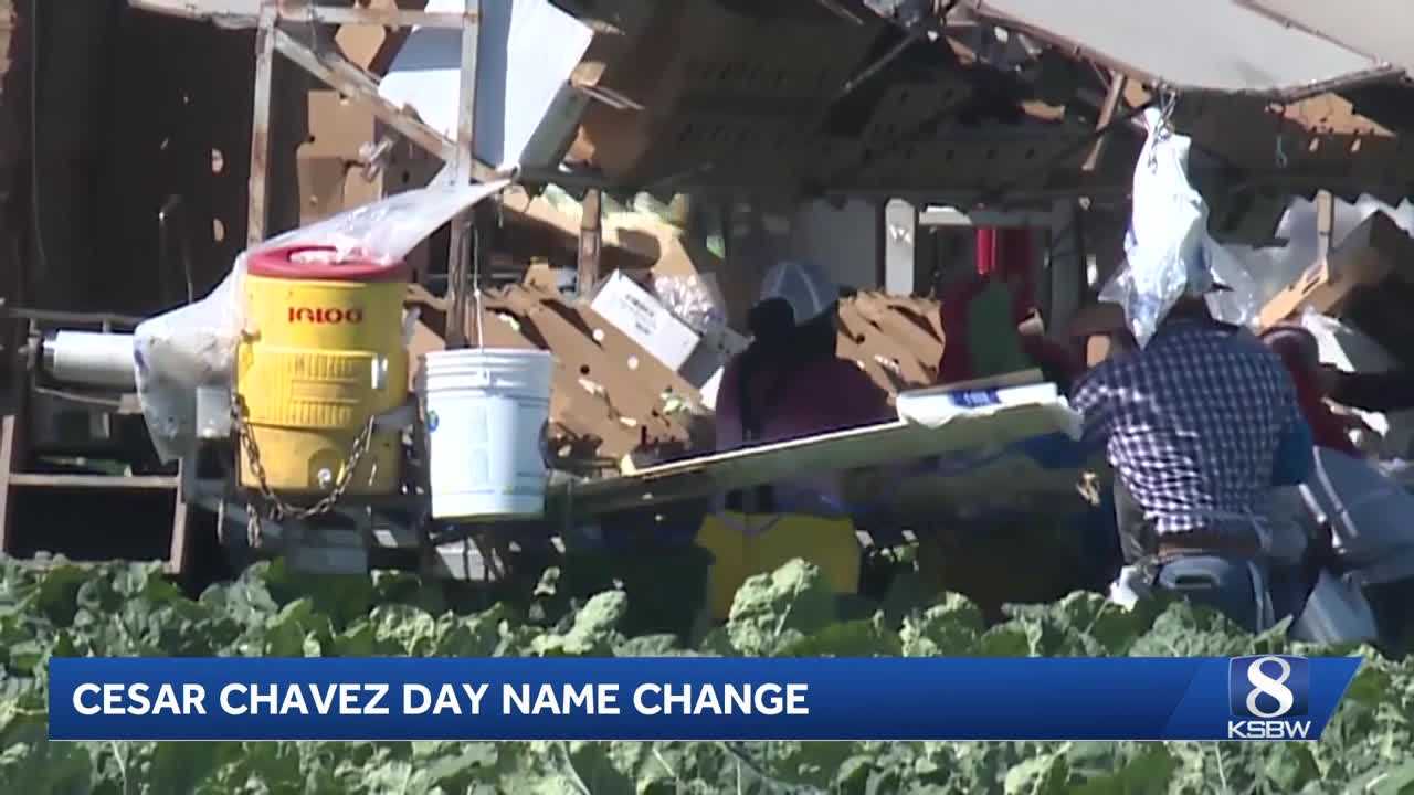 Santa Cruz and Monterey counties rename Cesar Chavez Day to honor farmworkers