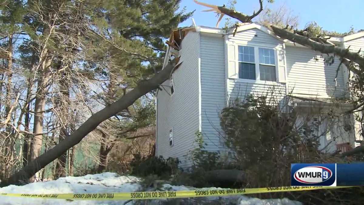 Strong winds bring down trees, knock out power to thousands during ...