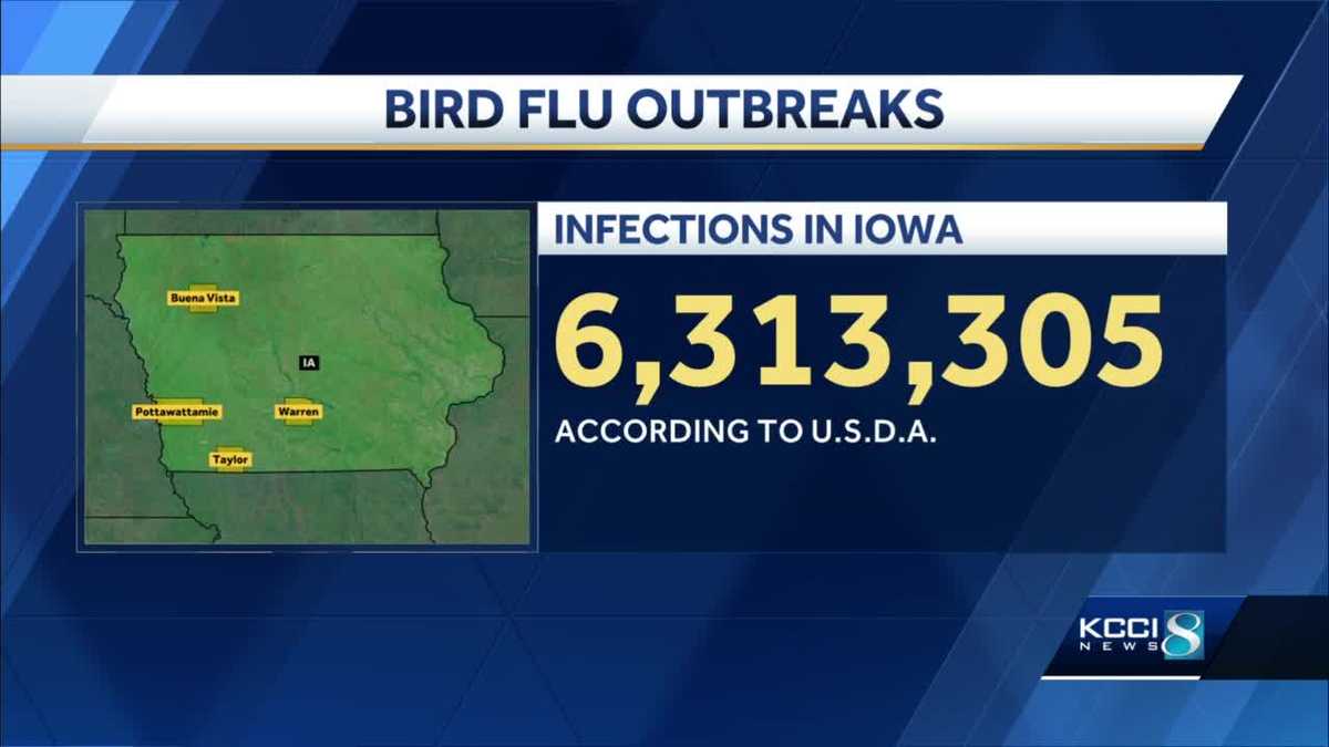 More than 6 million Iowa egg-laying hens have died from bird flu