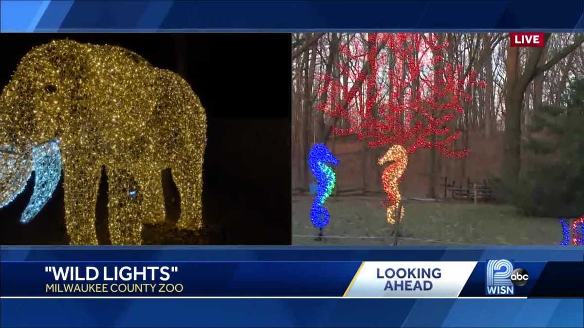 Wild Lights at Milwaukee County Zoo