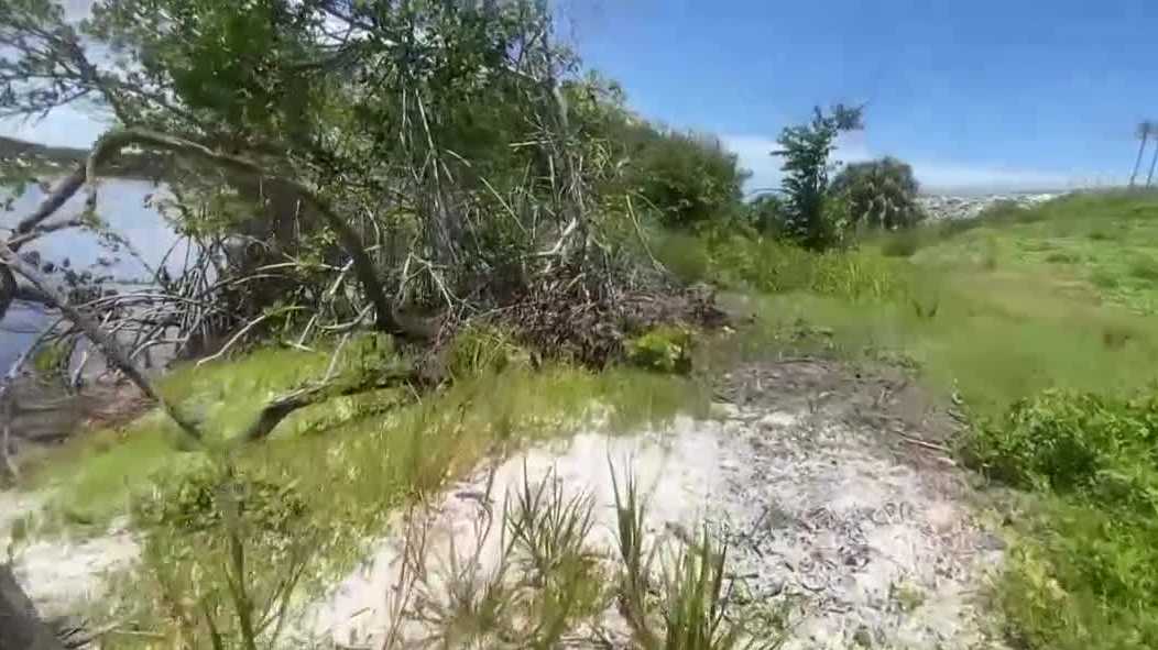 'It's very unfortunate': Body of missing Palm Bay man found near shoreline in Indian River County