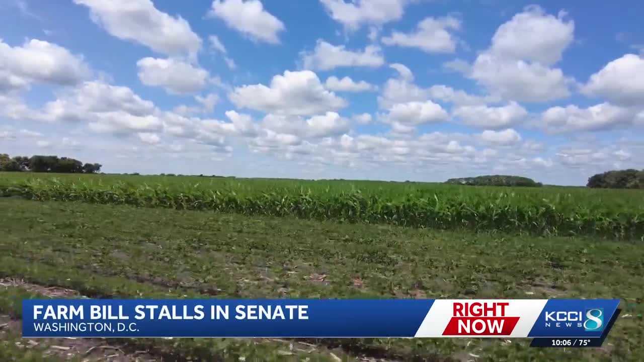 kcci.com - Iowa's Chuck Grassley says this farm bill isn't bipartisan