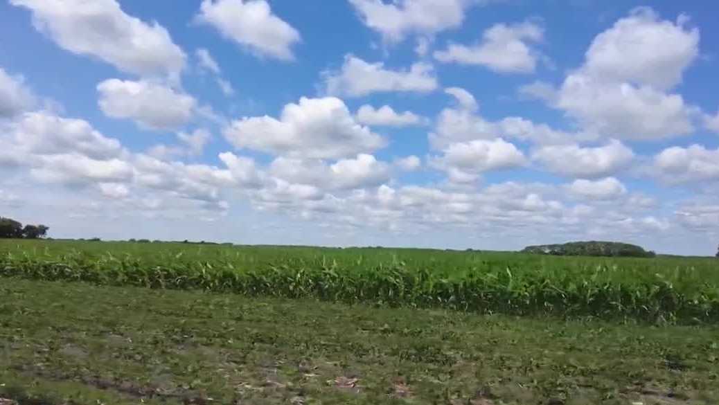Farm bill stalls in U . S . Senate over SNAP error rates