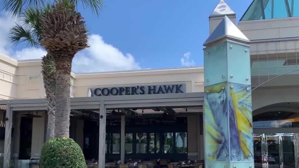Cooper's Hawk  Palm Beach Gardens, FL
