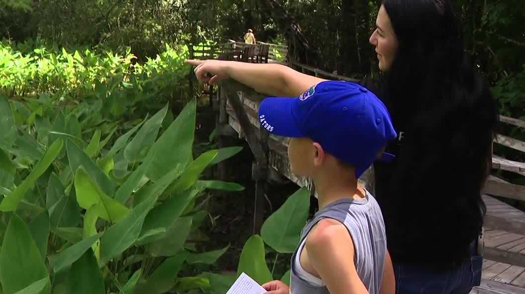 11-year-old Naples explorer with passion for wildlife makes mom proud