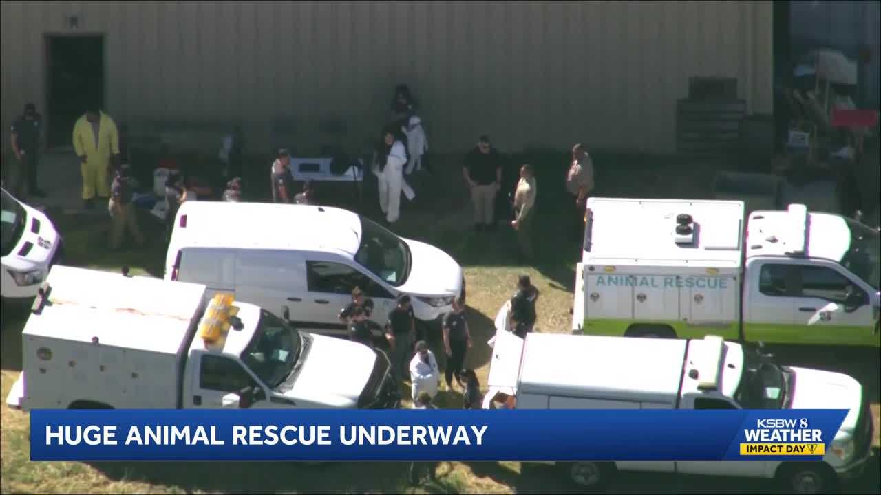 Central Coast shelters on standby after 300 animals removed from SoCal rescue site