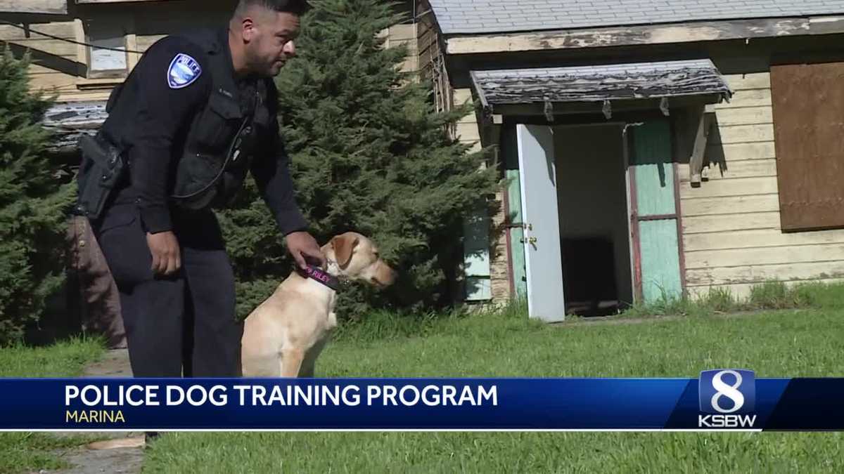 Inside a Central Coast K9 officer training program