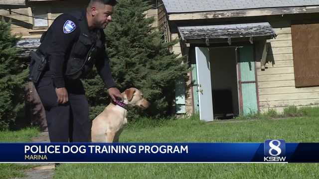 Inside a Central Coast K9 officer training program - Vimarsana News