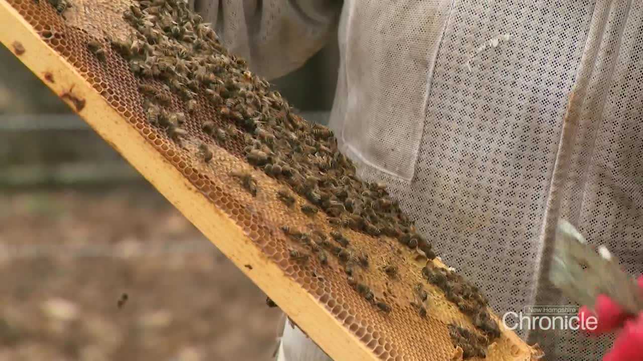 wmur.com - Tom Garris - Wooded farm in Lebanon makes award-winning maple syrup, honey