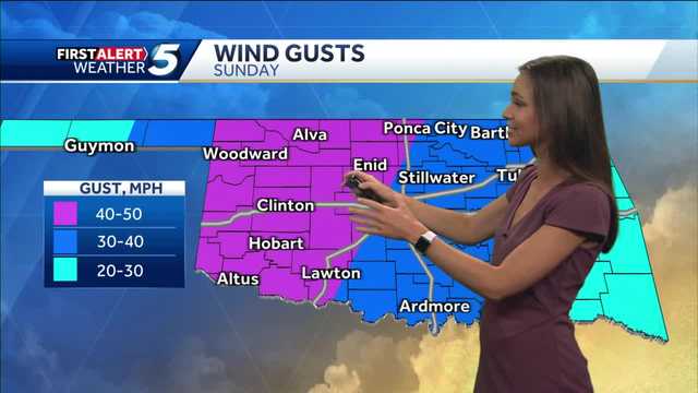 FORECAST: Heat Relief Arrives with Storms - Vimarsana News
