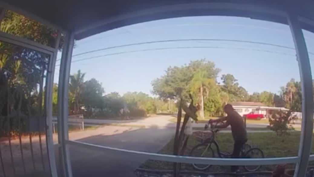 North Fort Myers woman heartbroken after garden gnomes stolen
