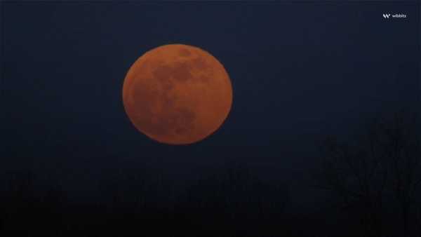 August began with a bright supermoon and will end the same way as another one lights up the night sky this week.