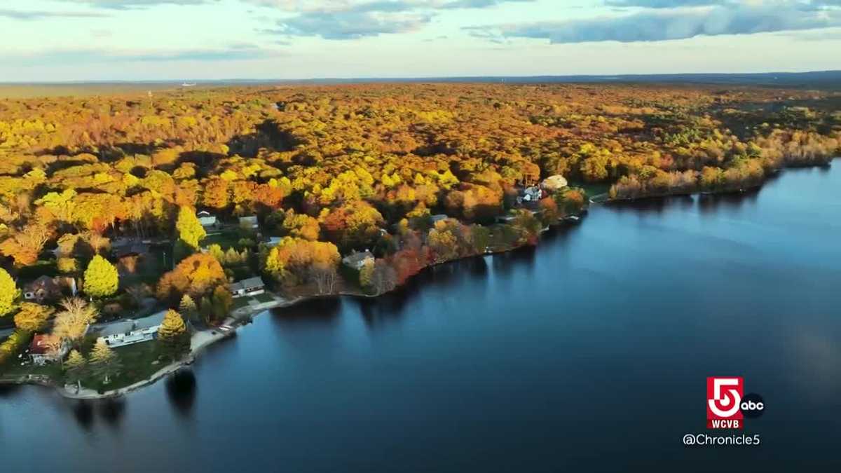 Douglas reveals rare forests and centuries-old roots