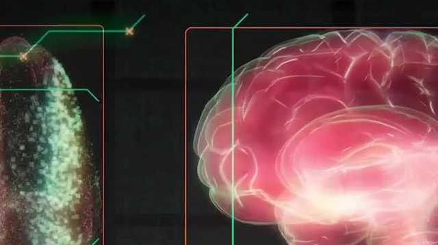 National Stem Cell Foundation launches Parkinson's, MS research into space - Vimarsana News