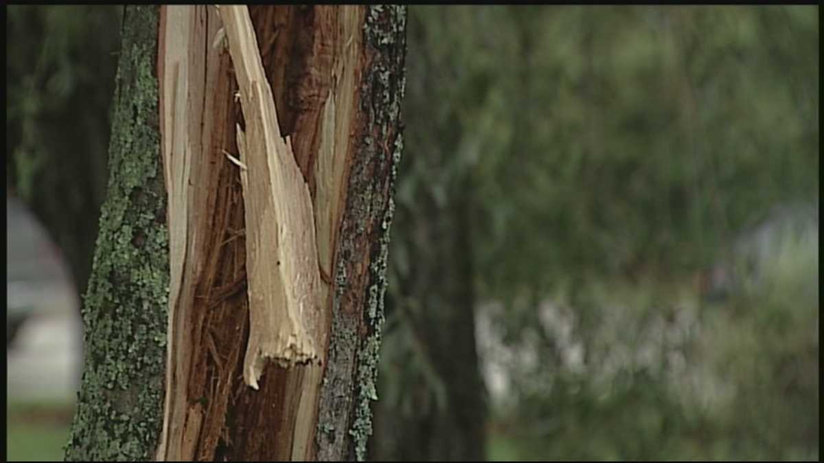 Lightning strikes hit Granite Staters