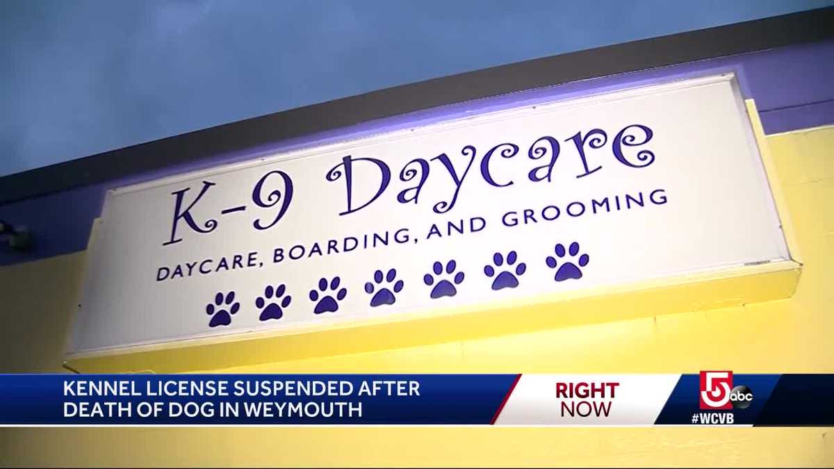 Kennel license suspended after death of dog in Weymouth