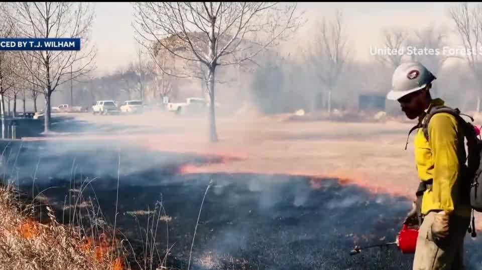 Prescribed burns have caused some of the largest fires in New Mexico