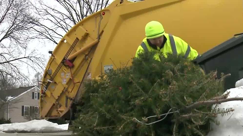 Milwaukee Common Council orders DPW to pick up Christmas trees