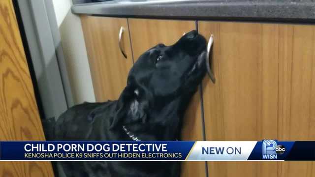 Wisconsin police dog sniff out child porn, electronics - Vimarsana News