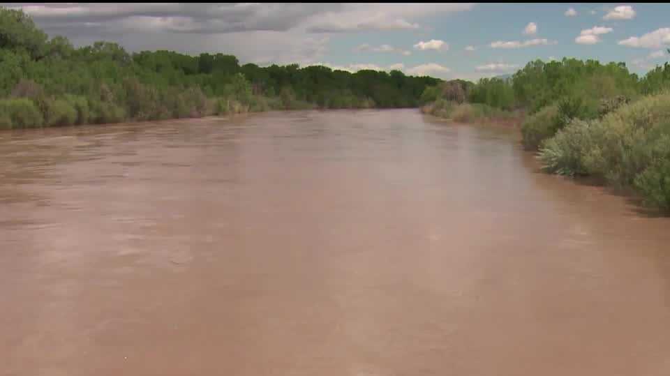 ‘Flooding is a good thing’ Water manager says as Rio Grande thrives