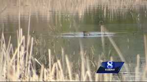 ksbw.com - Ricardo Tovar - $4.88M grant to build trails, visitor amenities at Watsonville Slough Farm approved