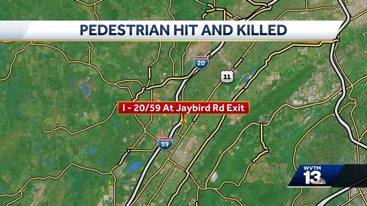 Man, 24, hit and killed by vehicle on I-59 in Birmingham