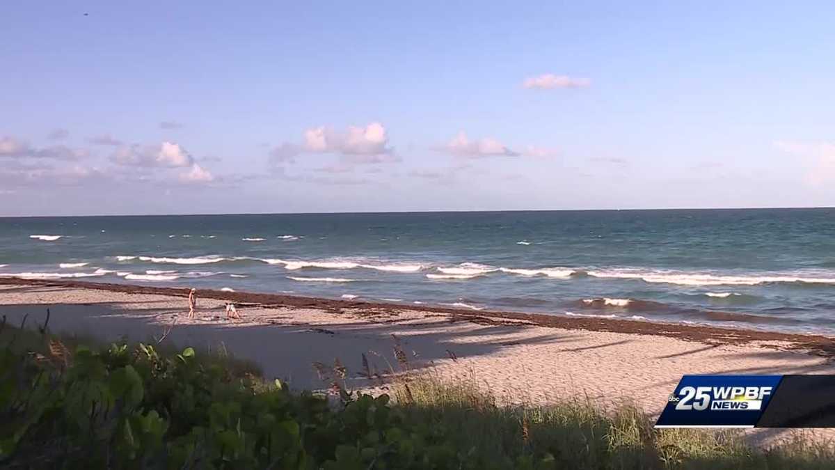 Red Tide still causing a mess and beach closures on the Treasure Coast