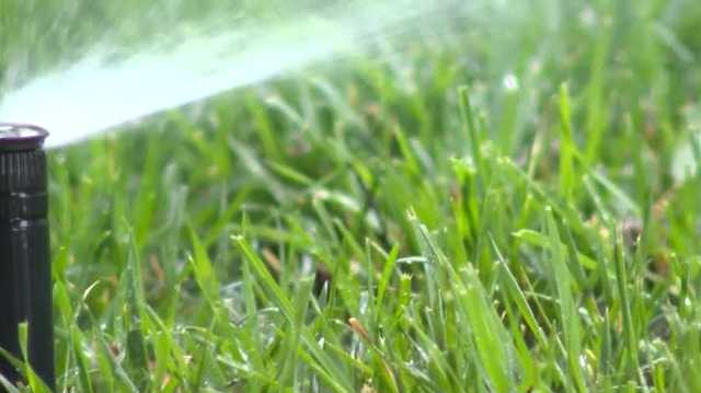 Here's how 'xeriscaping' your yard can help save water and money - Vimarsana News