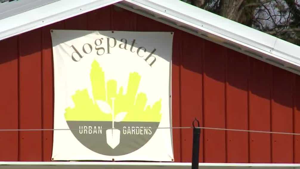 Dogpatch Urban Gardens in Des Moines launches Kickstarter for expansion ...