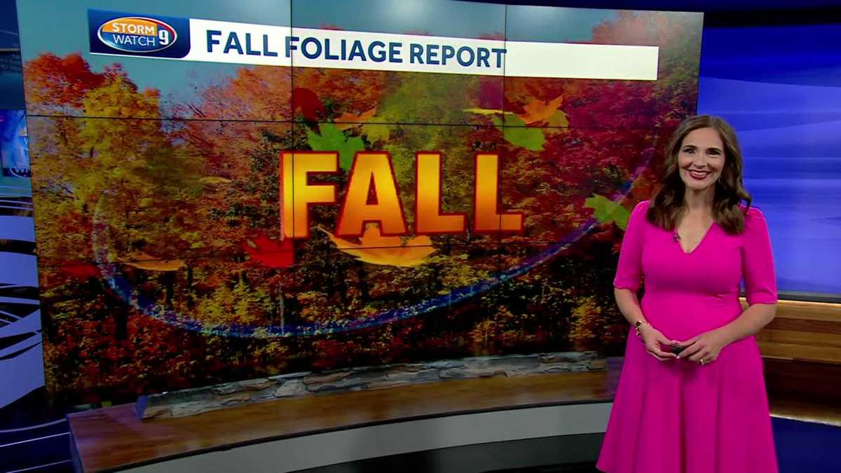 NH foliage tracker: Stressed trees leading to some colors