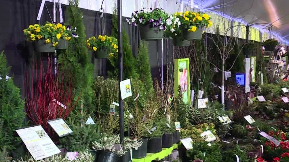 Vendors disappointed after Maine Flower Show canceled for good