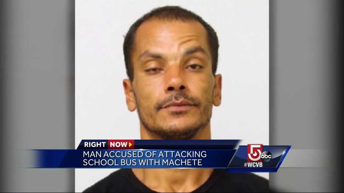 Man accused of attacking bus with machete