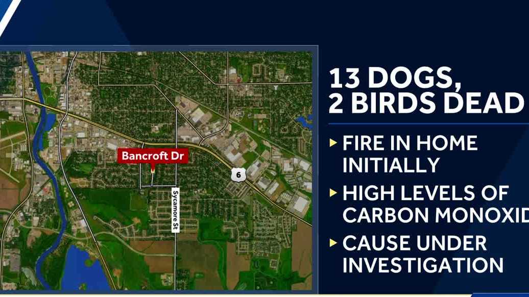 Iowa City house fire, carbon monoxide kills 13 dogs and 2 birds