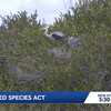 Changes to the Endangered Species Act