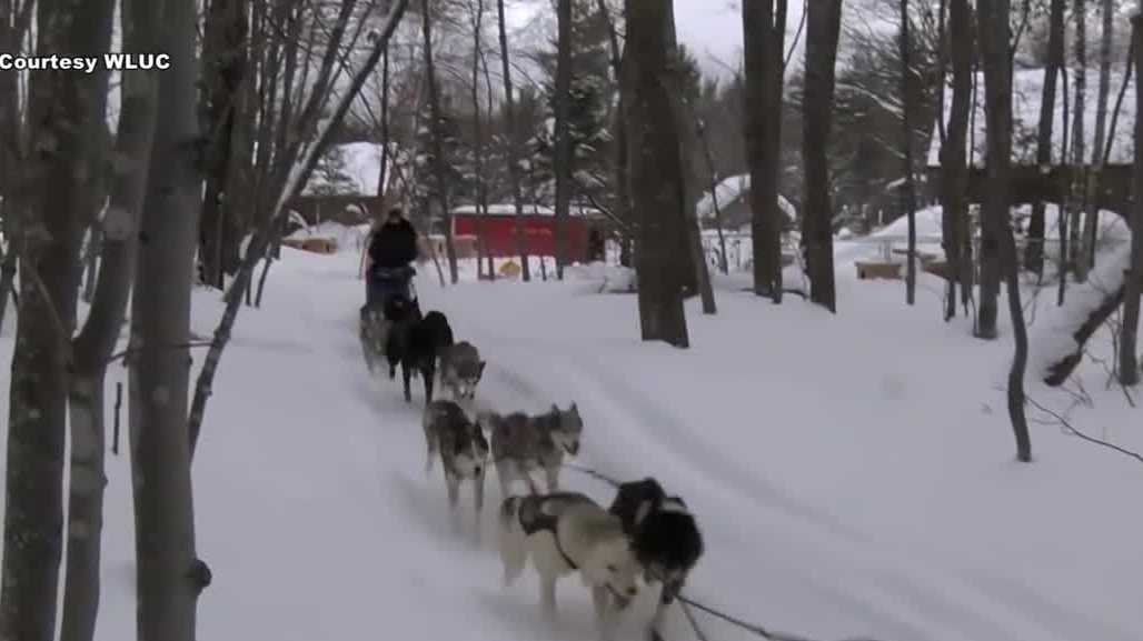 Two Granite Staters set to compete in Alaska sled dog race Saturday