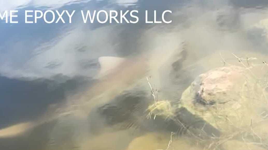 Baby bull shark caught on camera swimming at Lakes Park in Fort Myers