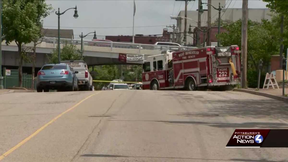 Arrest Made After Pedestrian Fatally Struck By Vehicle In Homestead