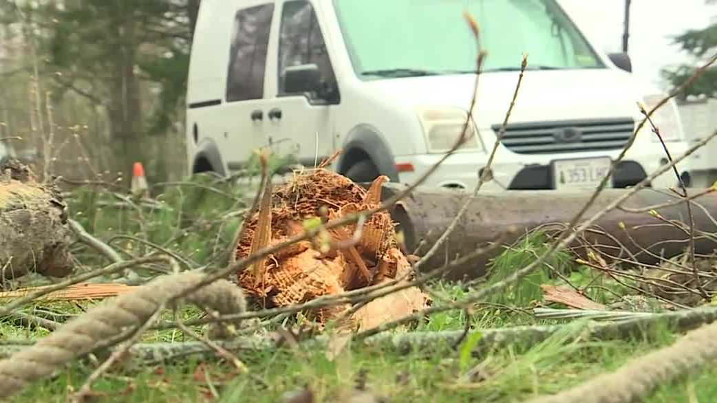Wilton father saves his son from falling power lines knocked down by Tuesday's thunderstorm
