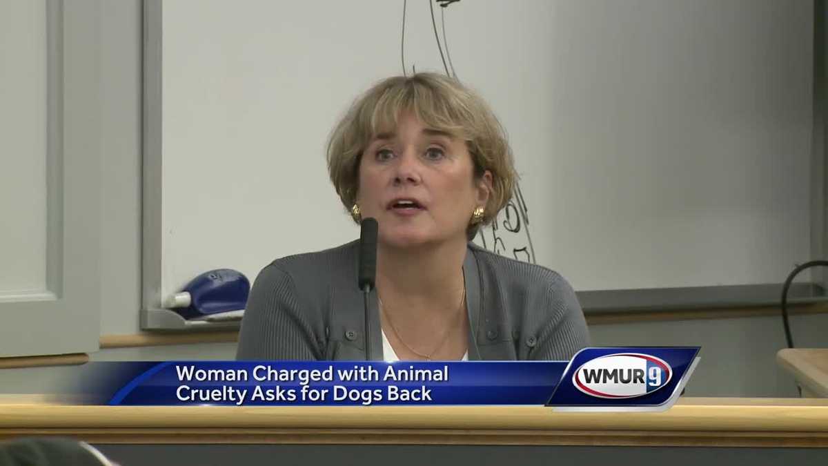 Woman says she wants seized Great Danes returned