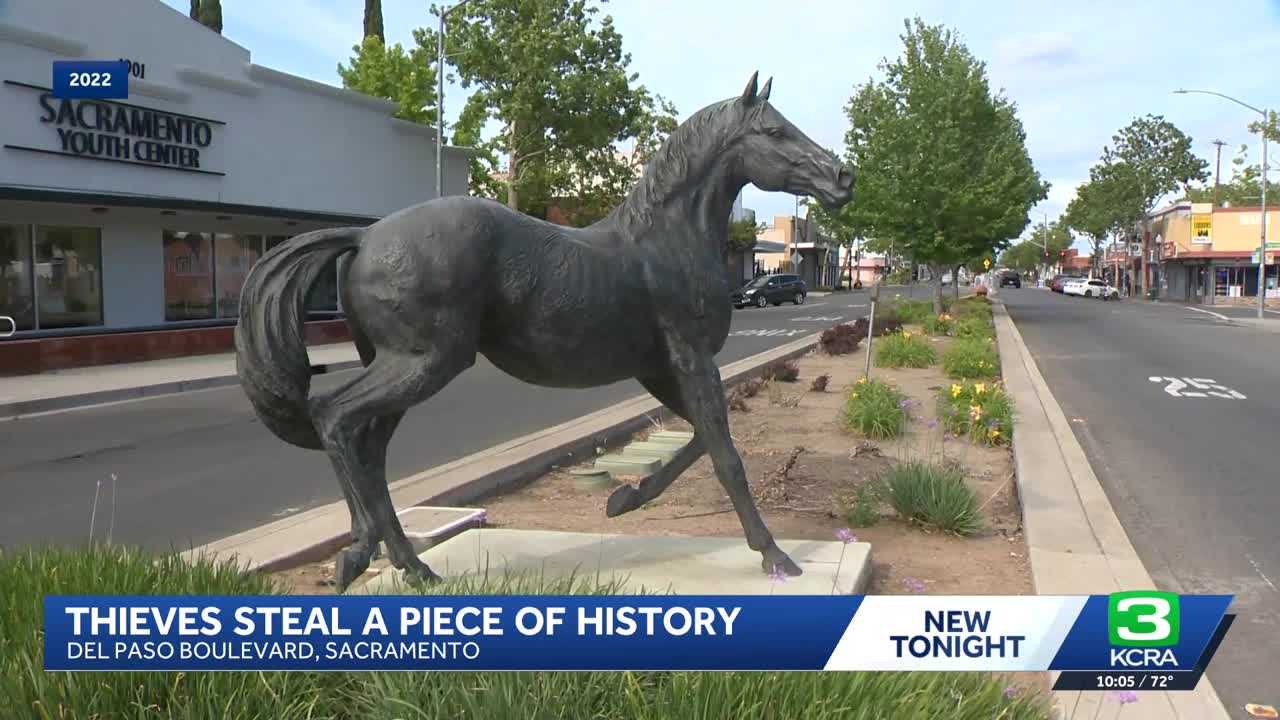 Sacramento police search for horse statue stolen on Del Paso Blvd.