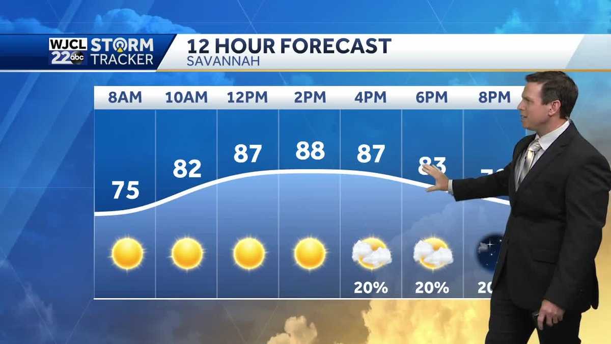 Hot today with PM isolated storms. Gulf tropical development - WJCL