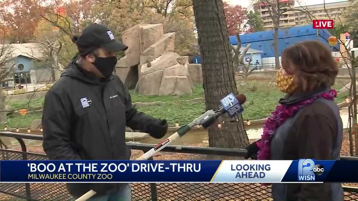 Milwaukee County Zoo creates drivethru 'Boo at the Zoo'