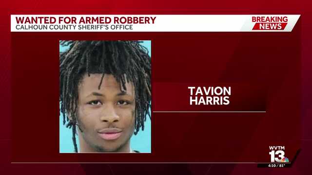 Calhoun County deputies search for suspect in armed robbery